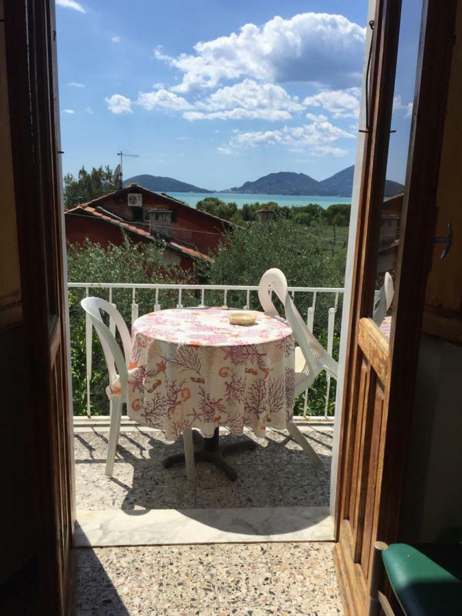 Il Delfino Guest house